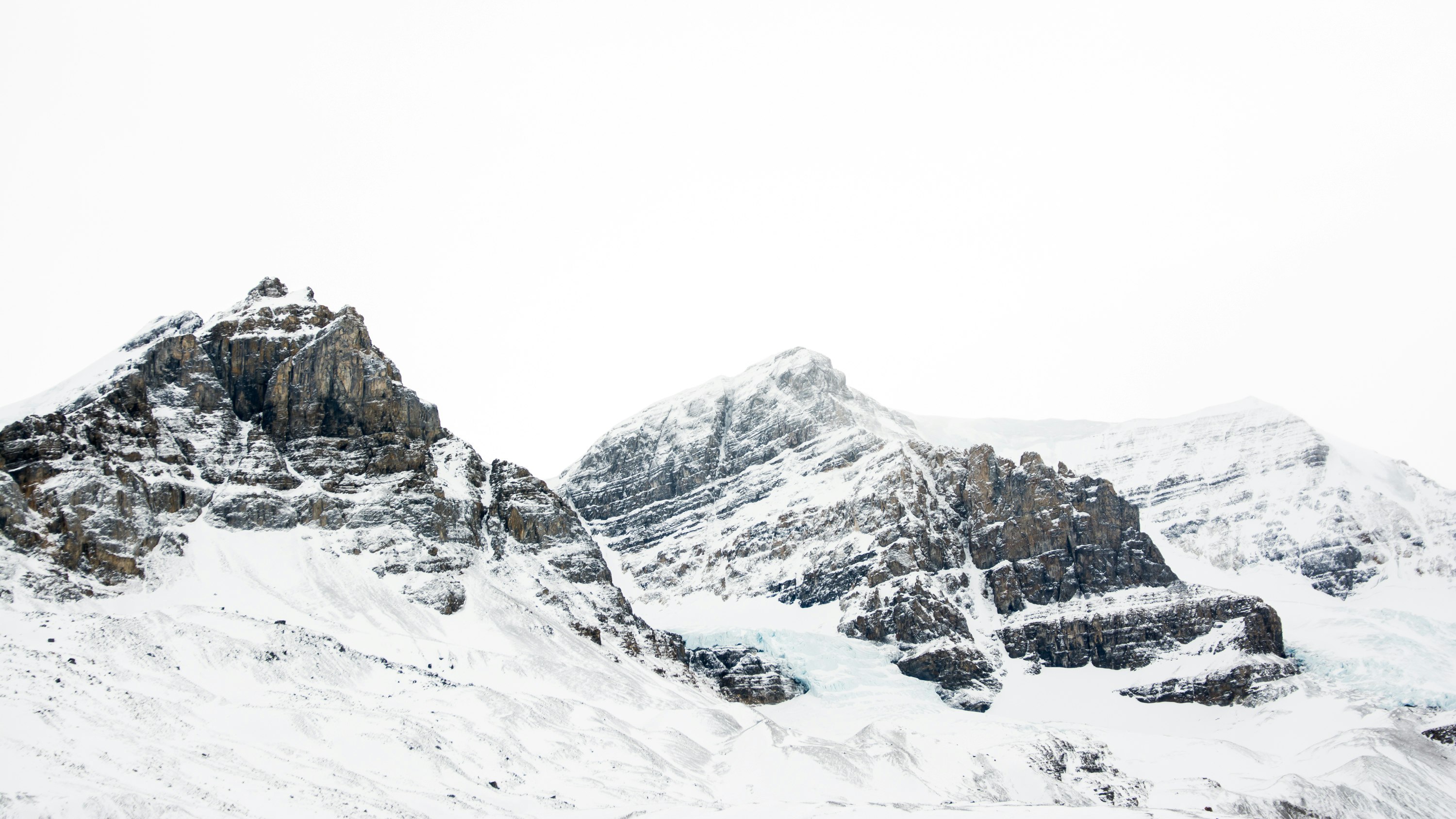 land covered in snow